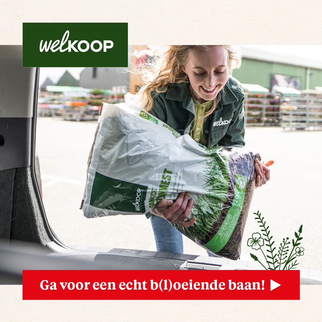 Werken Bij Welkoop Facebook ad from Feb 2, 2026