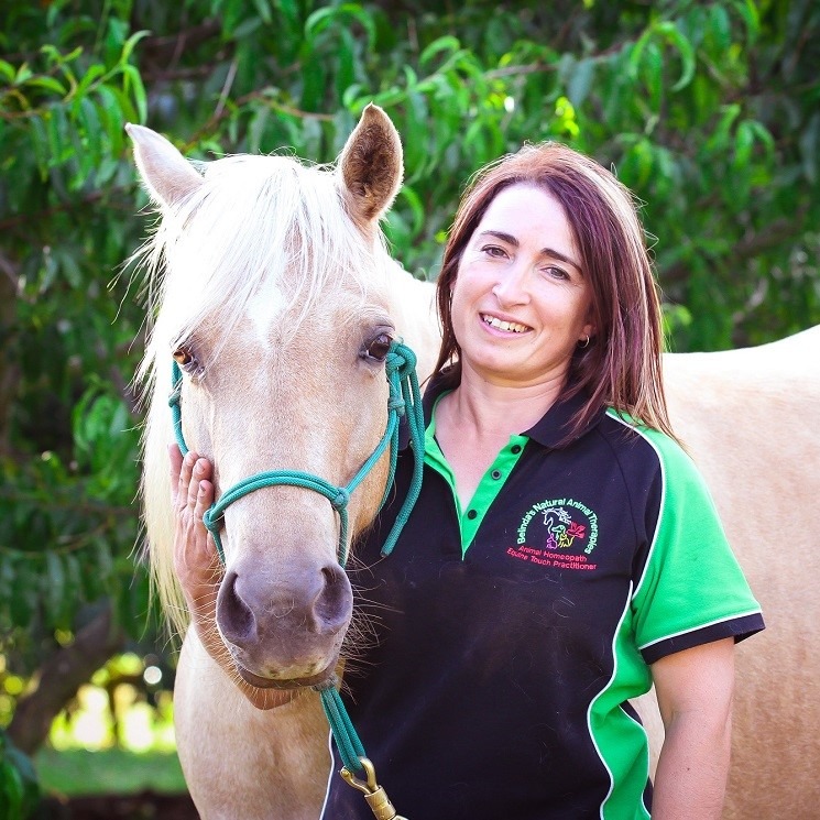 Belinda's Natural Animal Therapies Facebook ad: Is your horse getting what it really needs?