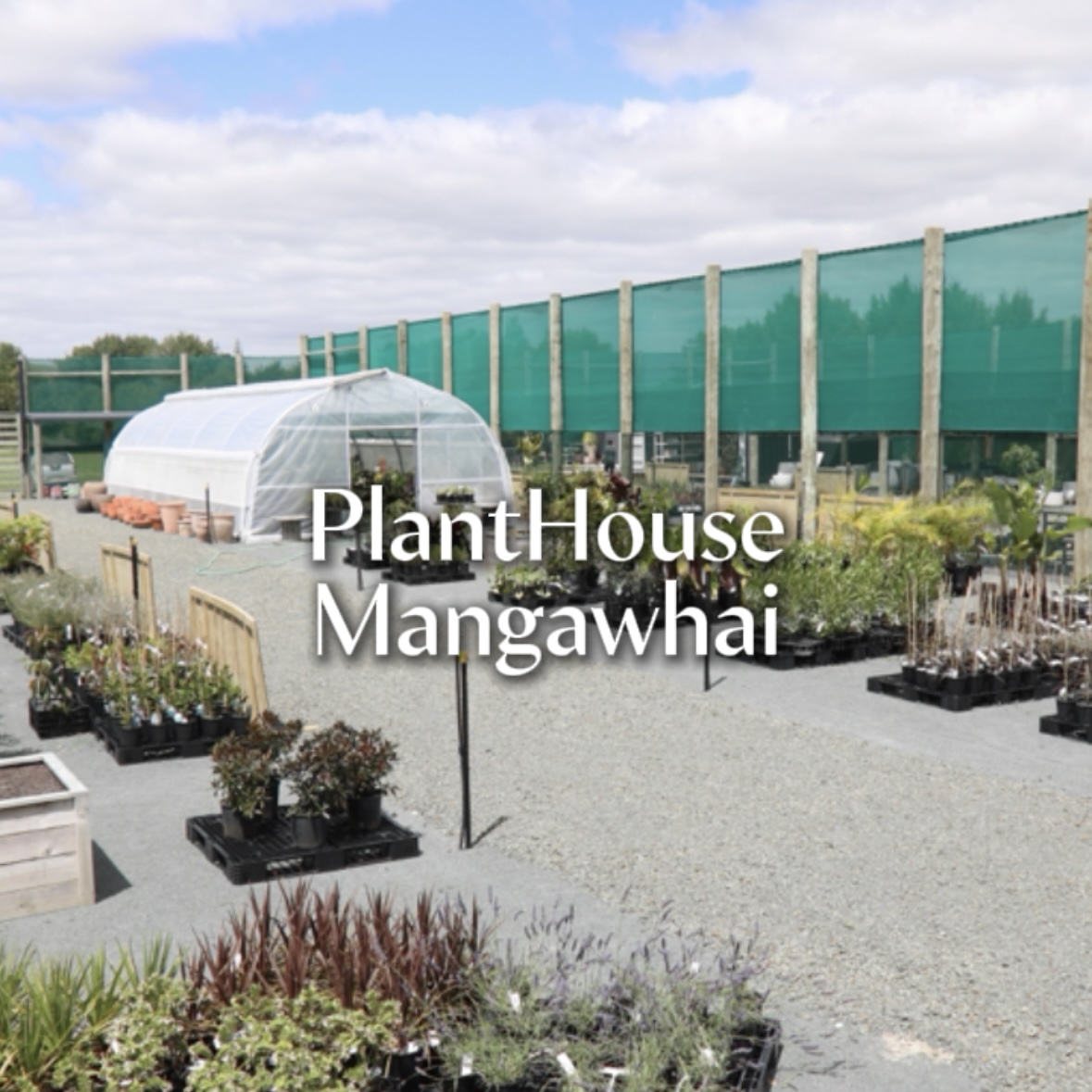 PlantHouse Facebook ad: Visit PlantHouse - Mangawhai's own Garden Centre