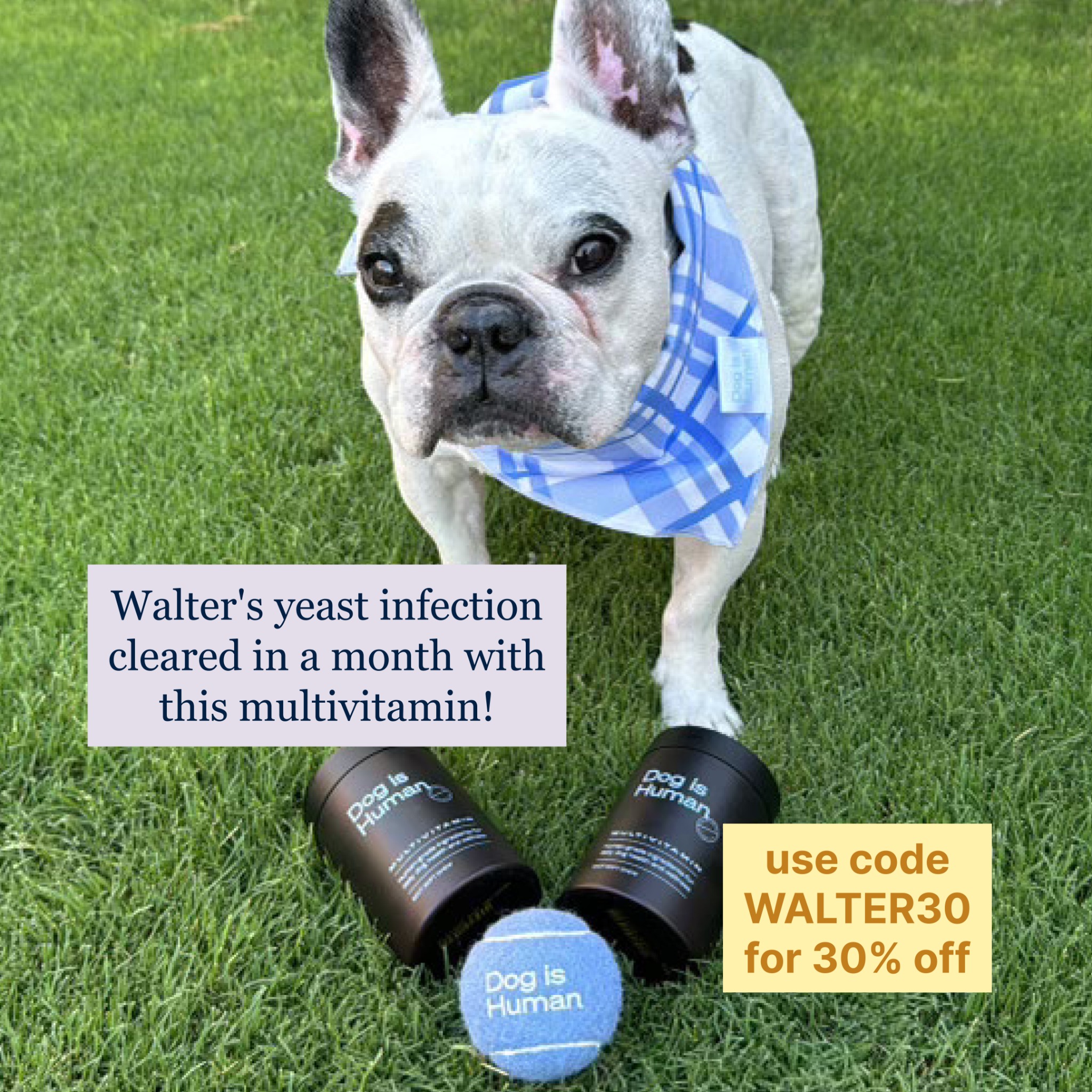 Walter Geoffrey Facebook ad