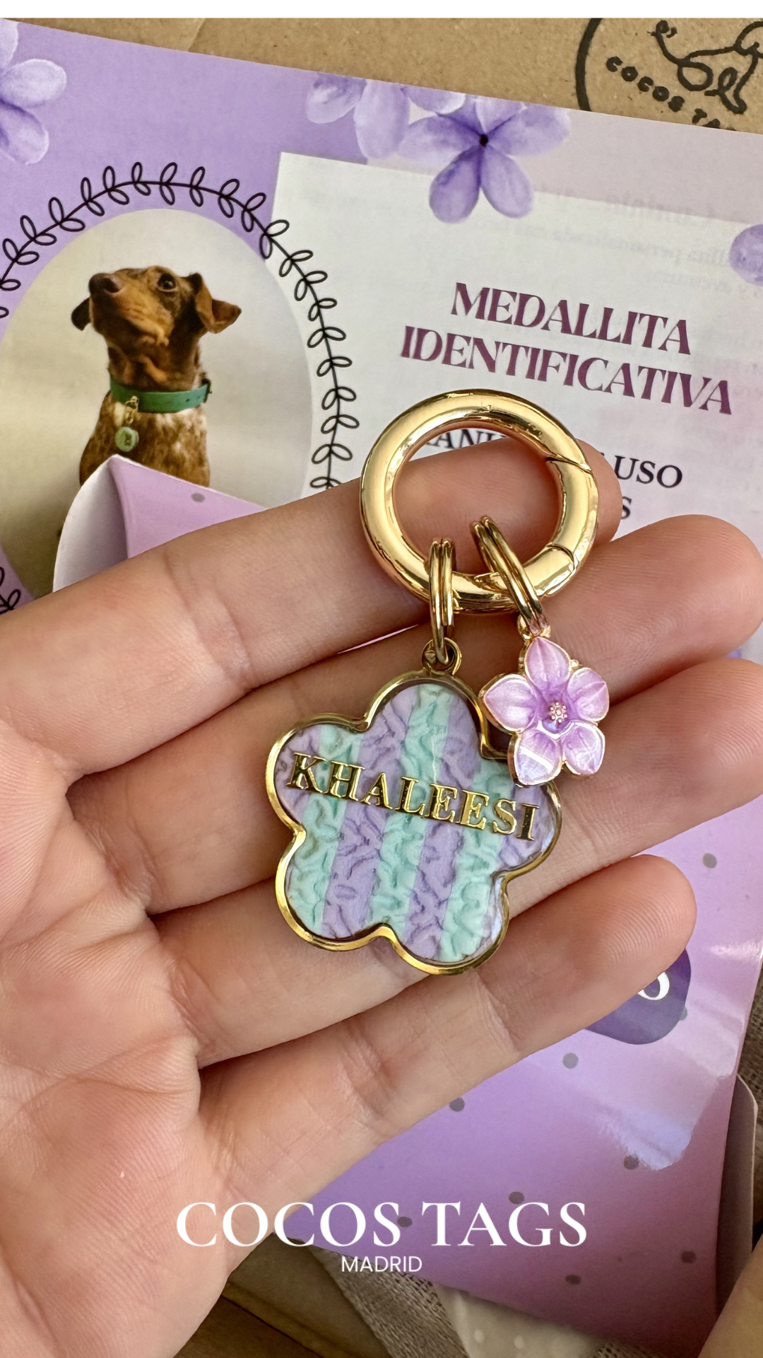 Cocos Tags Pets Facebook ad: Unique Dogwear Accessories