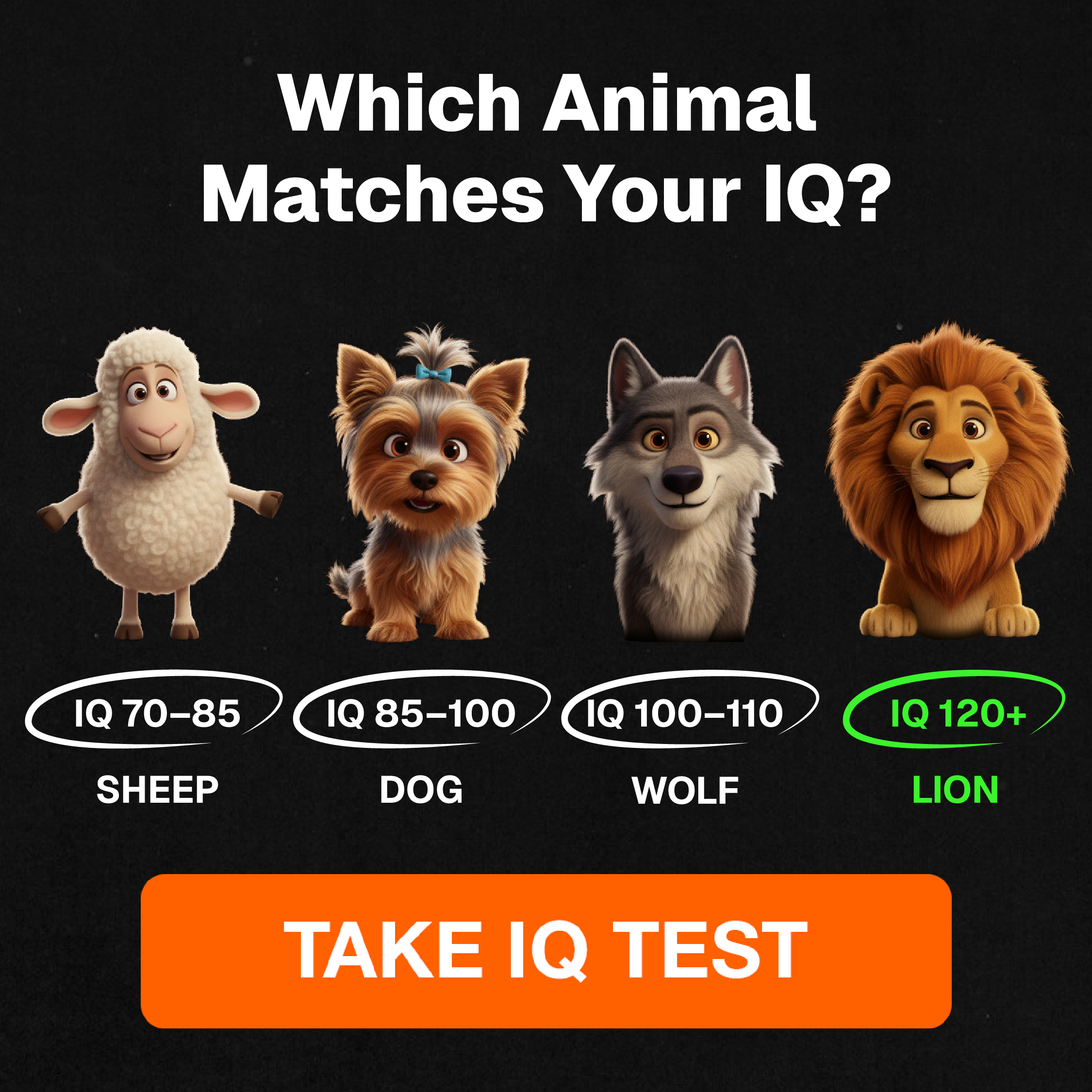 My IQ Facebook ad