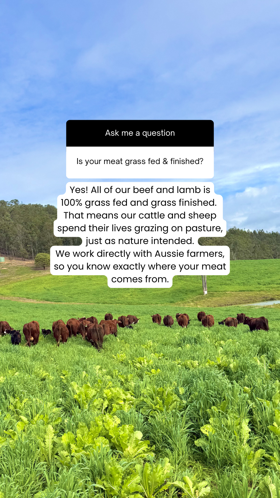 Our Cow Facebook ad