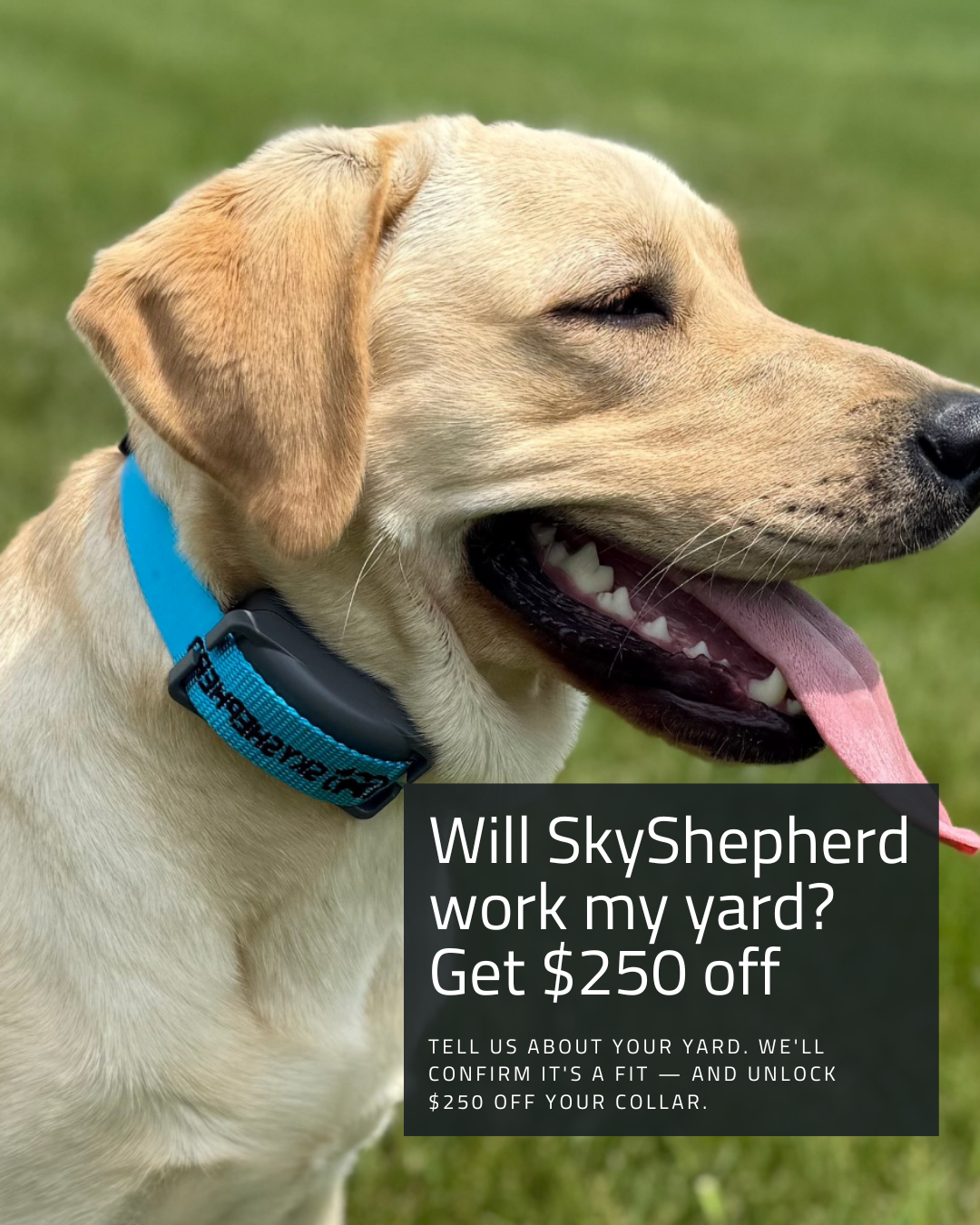 SkyShepherd Facebook ad from Jun 10, 2026