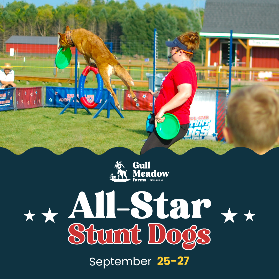 Gull Meadow Farms Facebook ad: All Star Stunt Dog Show @ Gull Meadow Farms