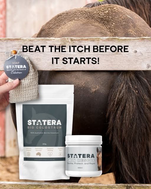 Statera Equine Facebook ad: The Itch Trifecta: My Strategy for a Better…