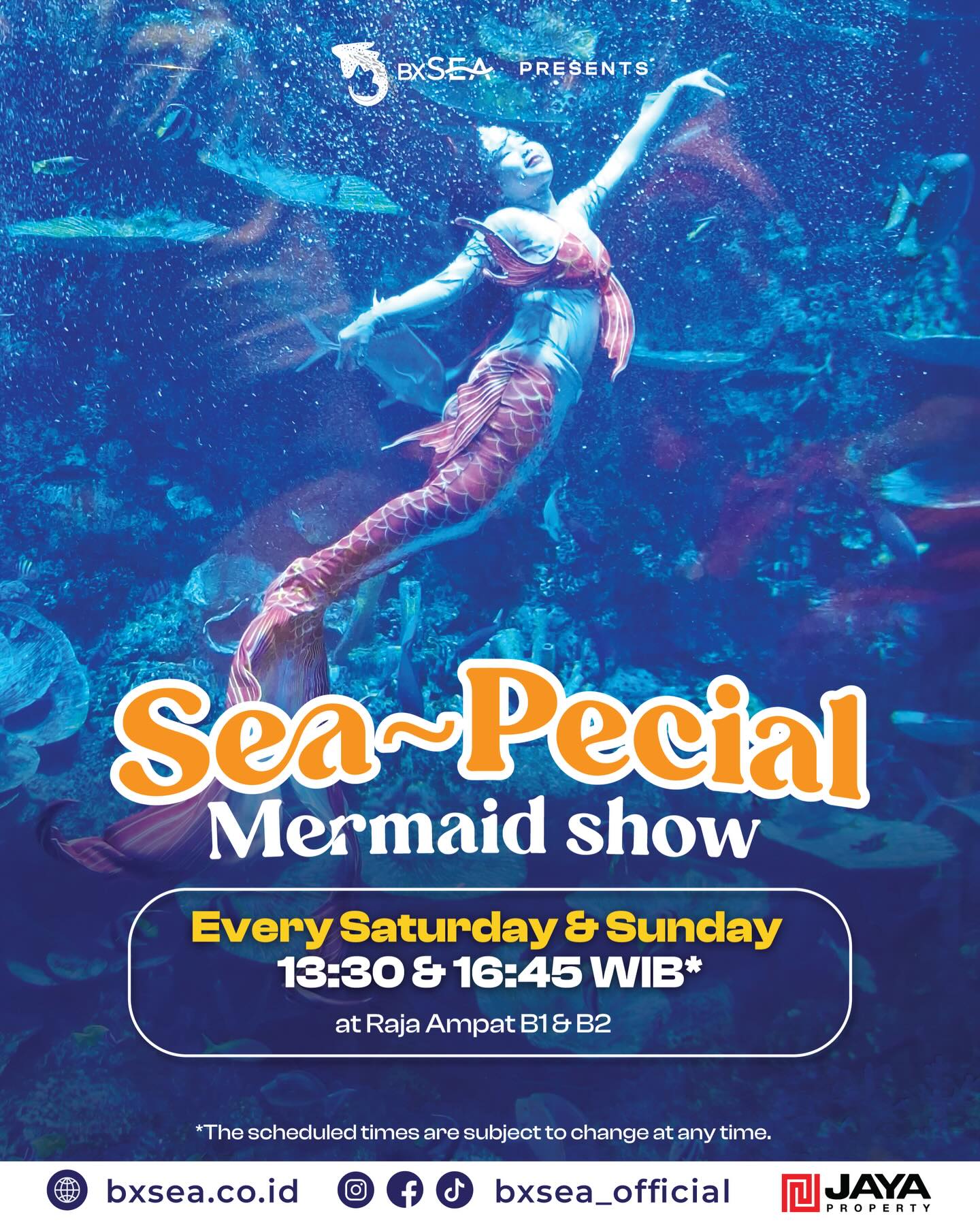 BXSea Facebook ad: Catch the Sea~Pecial Mermaid Show and enjoy a…