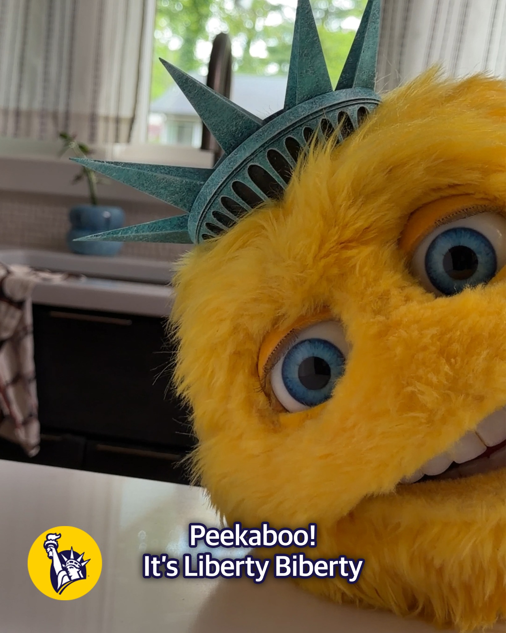 Liberty Mutual Insurance Facebook ad