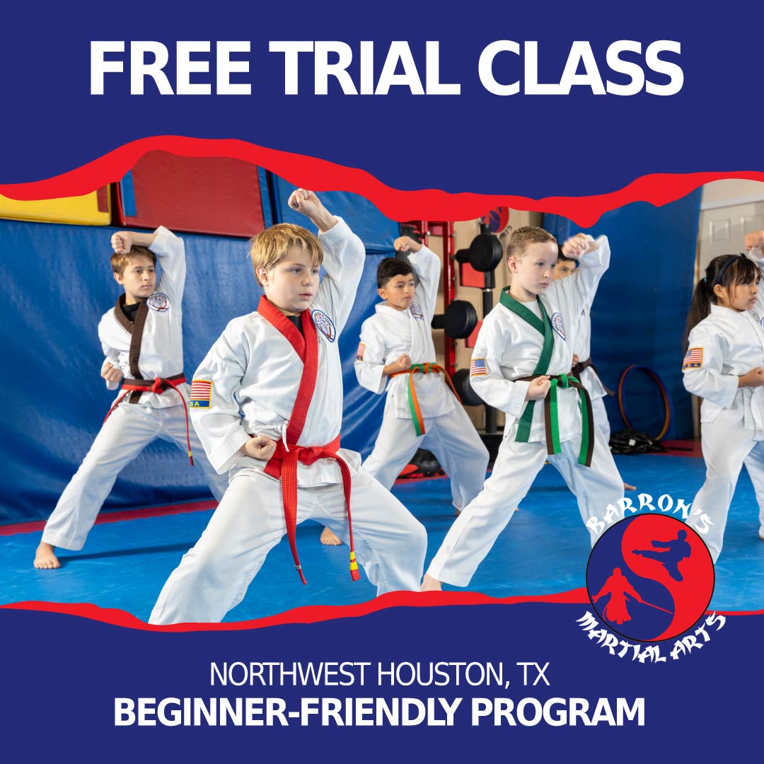 Barron's Martial Arts Facebook ad