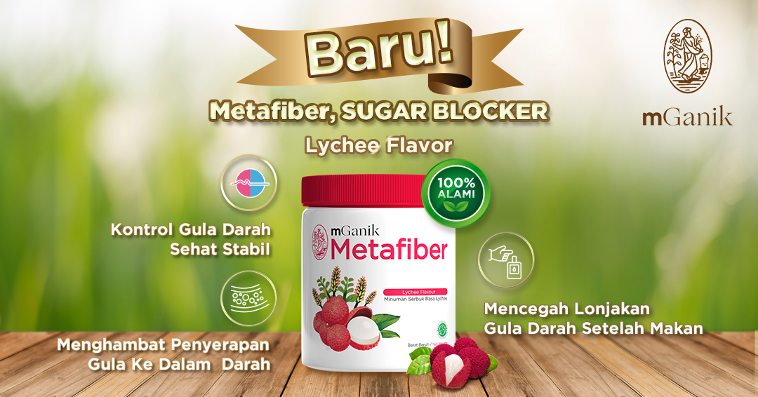 mGanik Metafiber Coba Sekarang Facebook ad