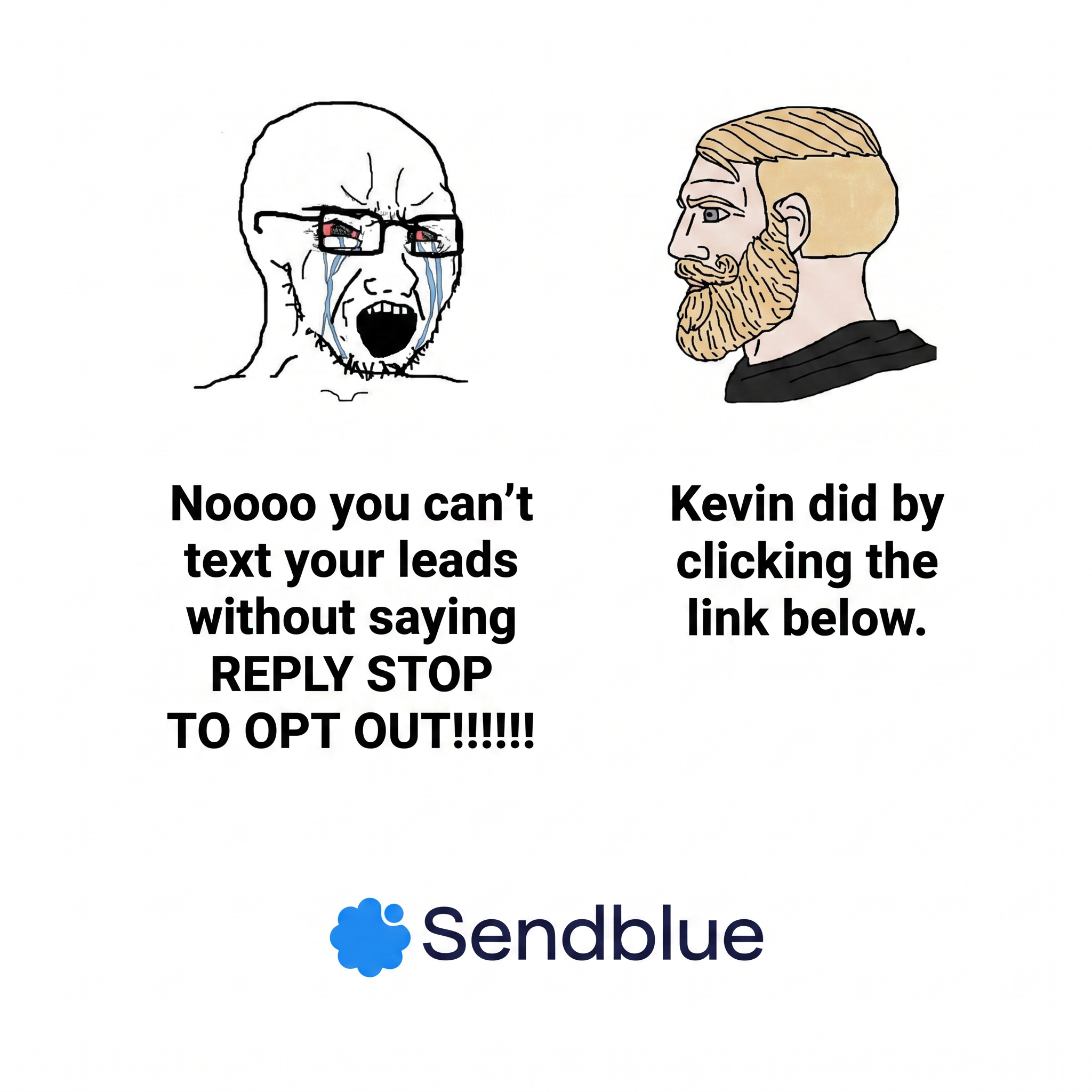 Sendblue Facebook ad
