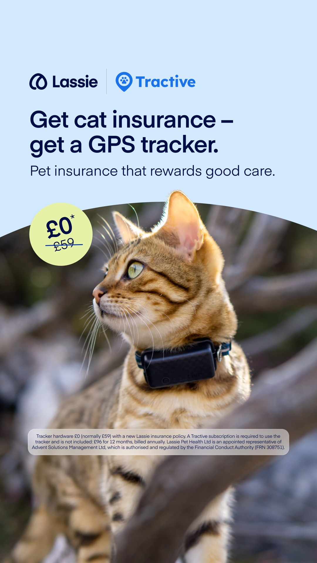 Lassie UK Facebook ad