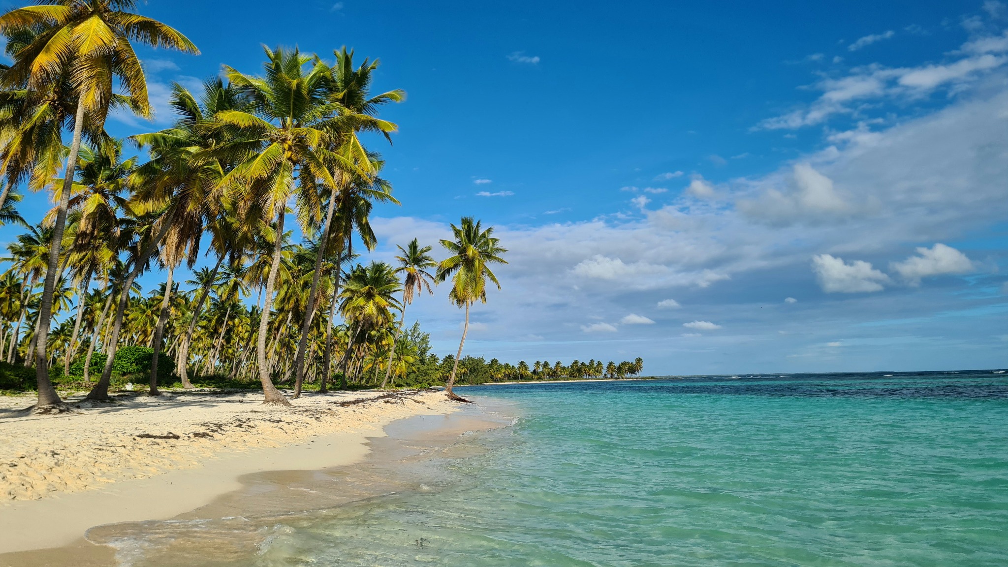 ShermansTravel Facebook ad