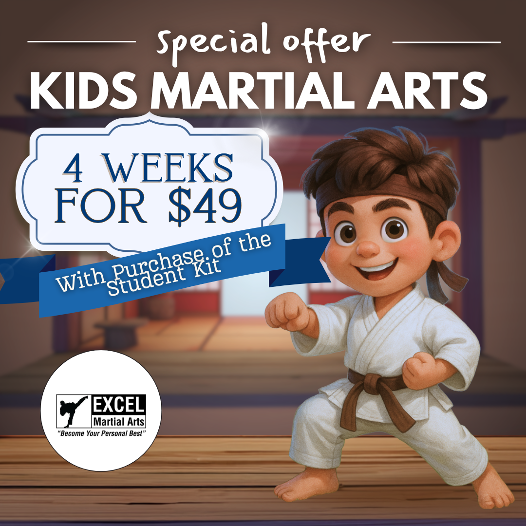 Excel Martial Arts Facebook ad
