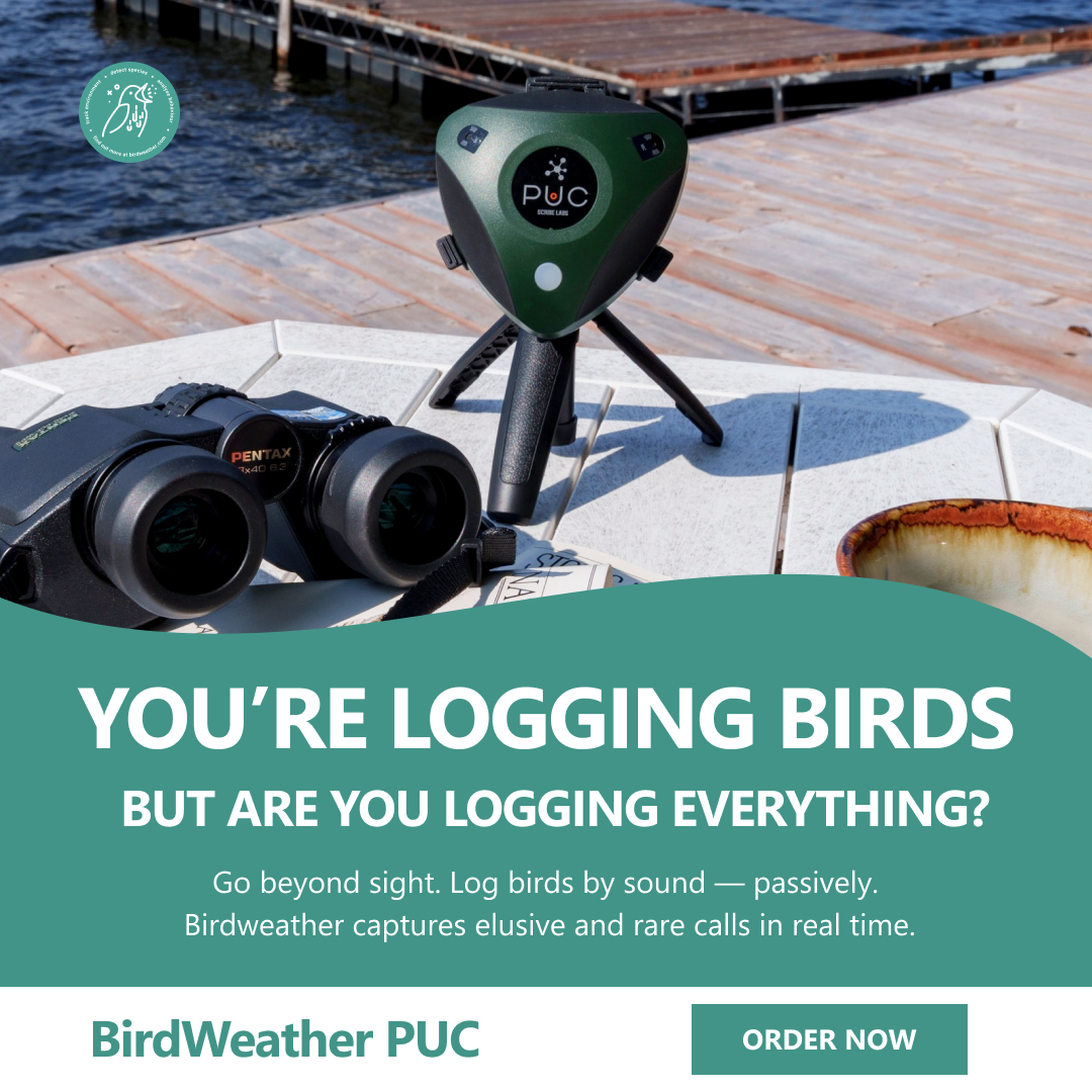 BirdWeather Facebook ad