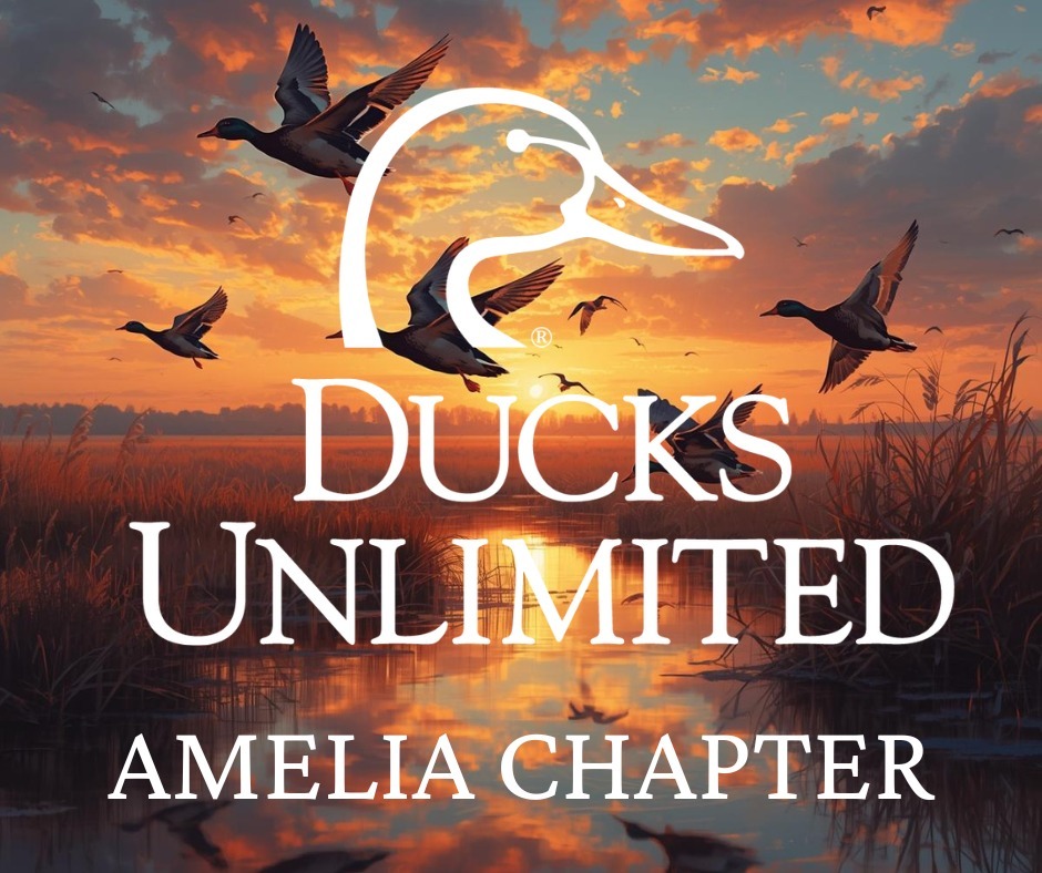 Virginia Ducks Unlimited Facebook ad: Amelia Ducks Unlimited Crawfish Boil and Raffle