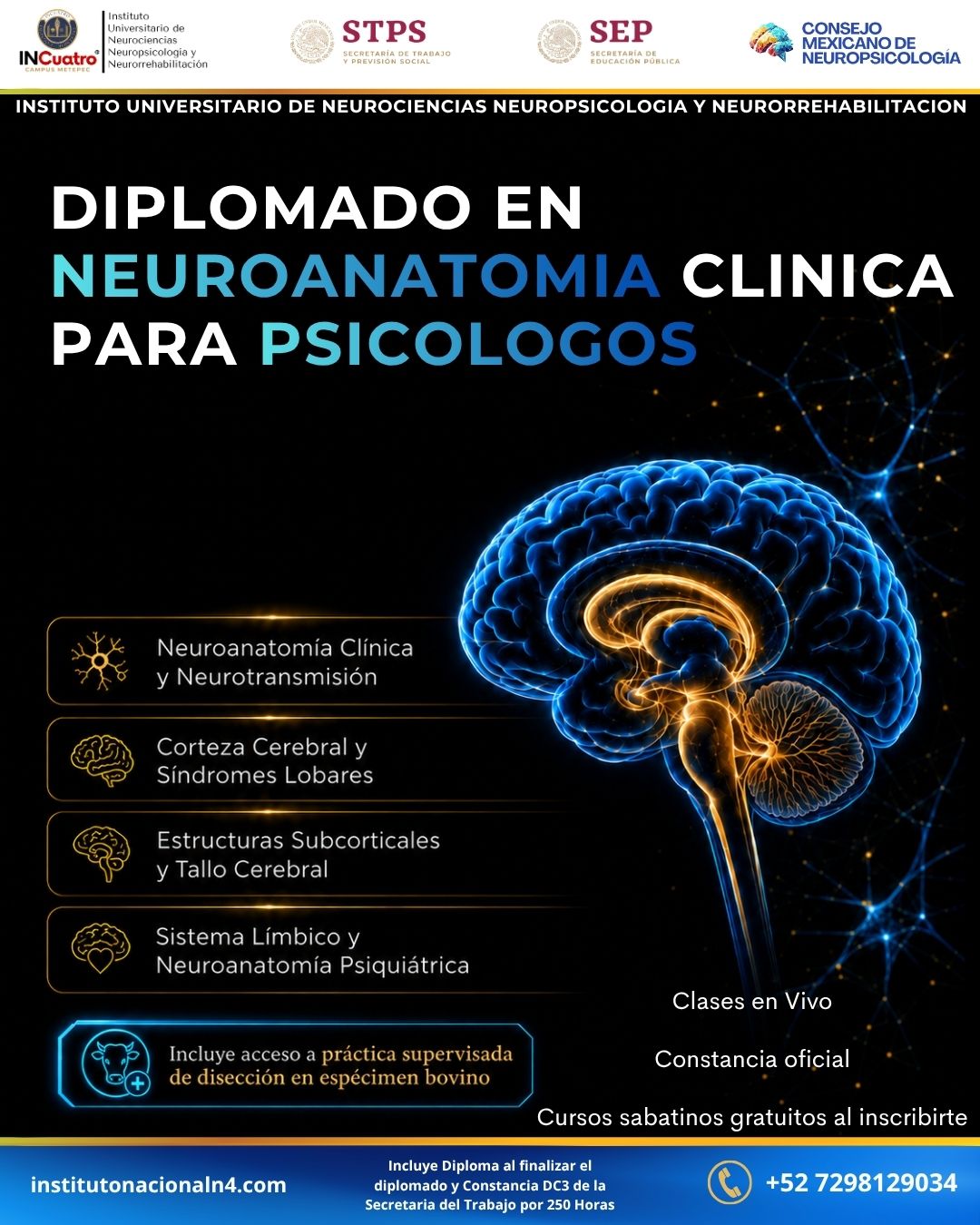 Instituto Nacional de Neurociencias Neuropsicología y Neurorrehabilitación Facebook ad: Diplomado en Neuroanatomía Clínica para Psicólogos