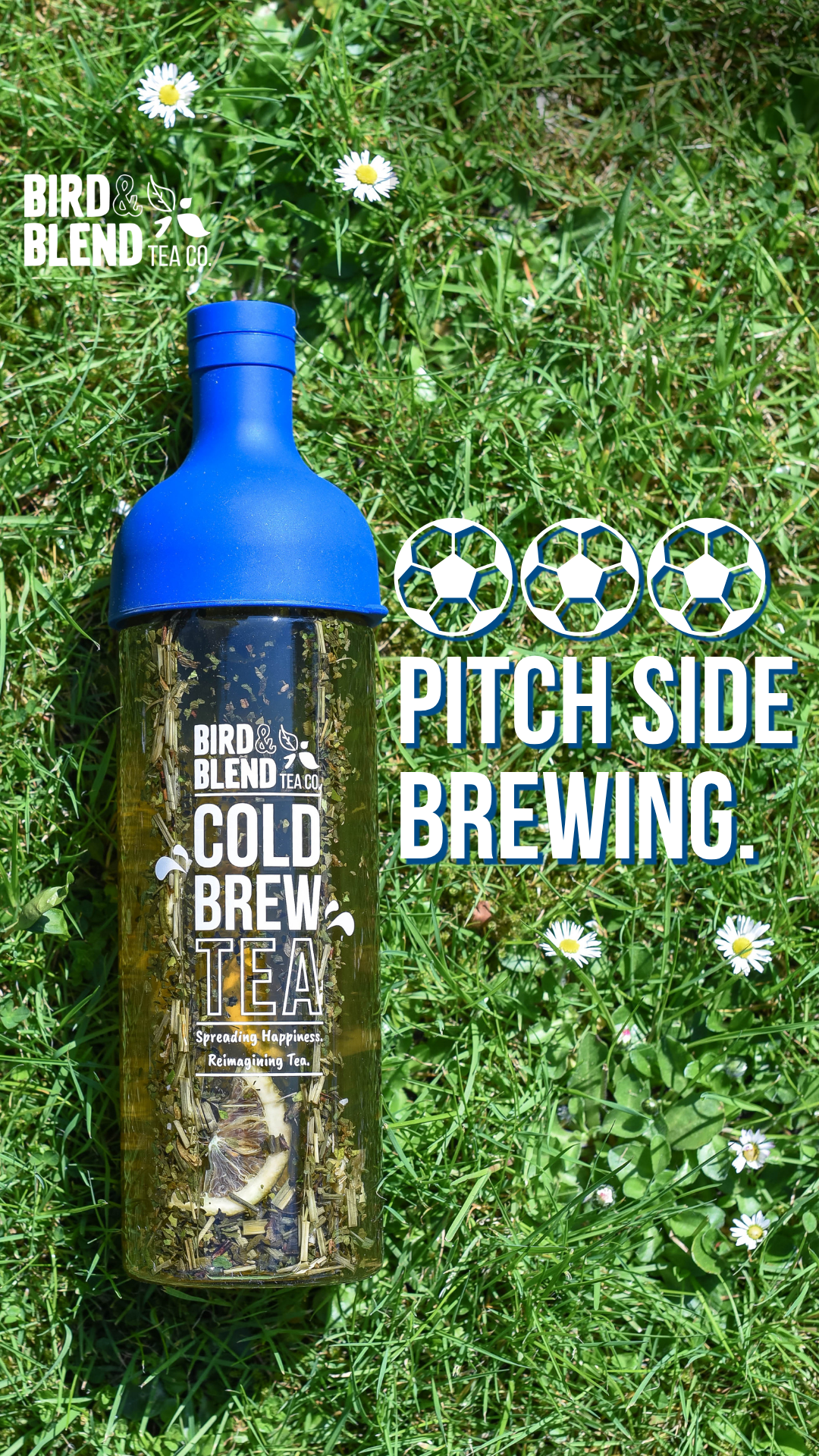 Bird & Blend Tea Co. Facebook ad