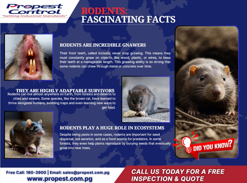 ProPest Control Limited Facebook ad
