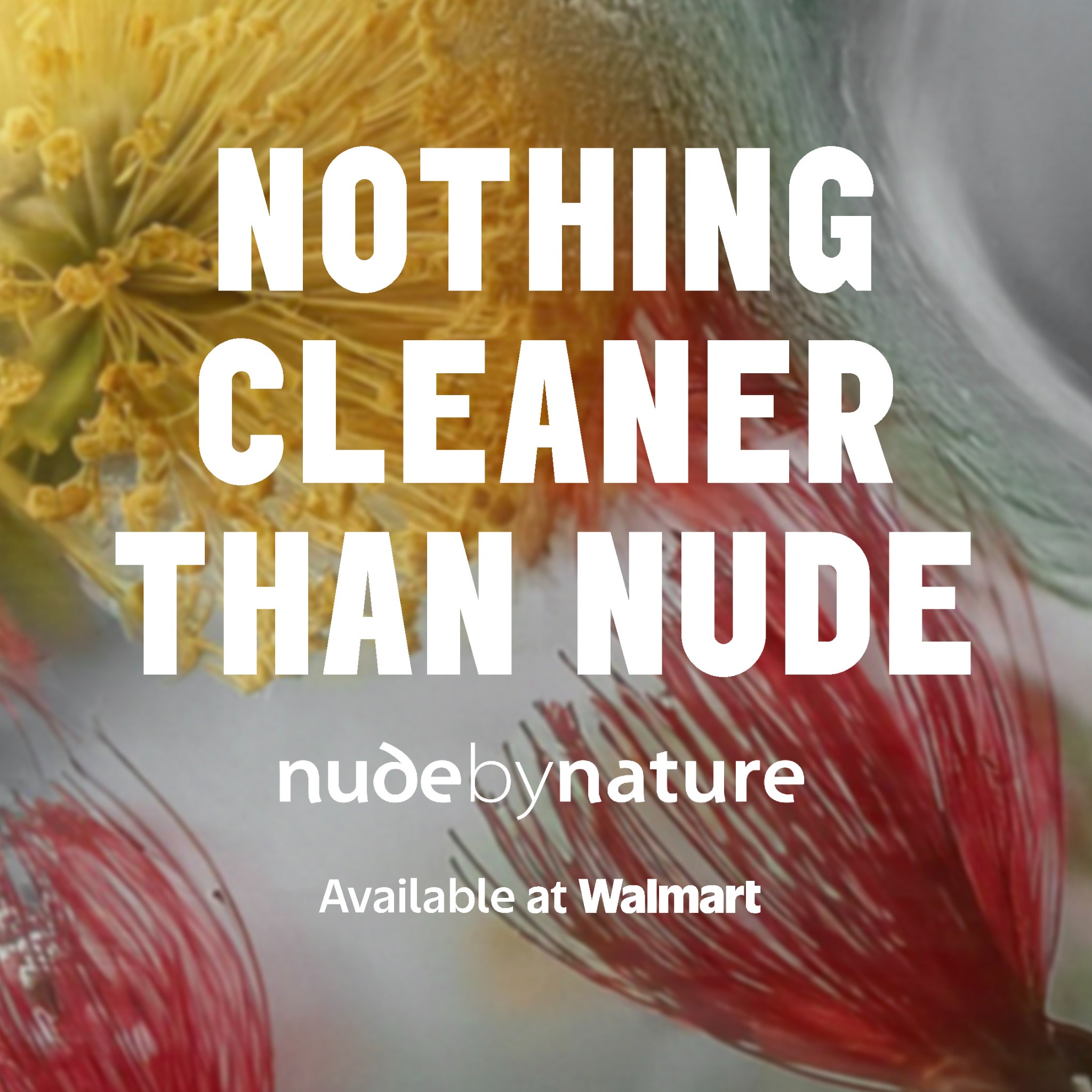 Nude by Nature Facebook ad