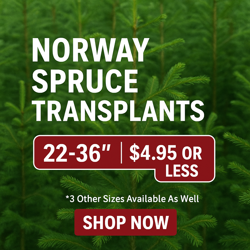 Yellow River Nurseries Facebook ad