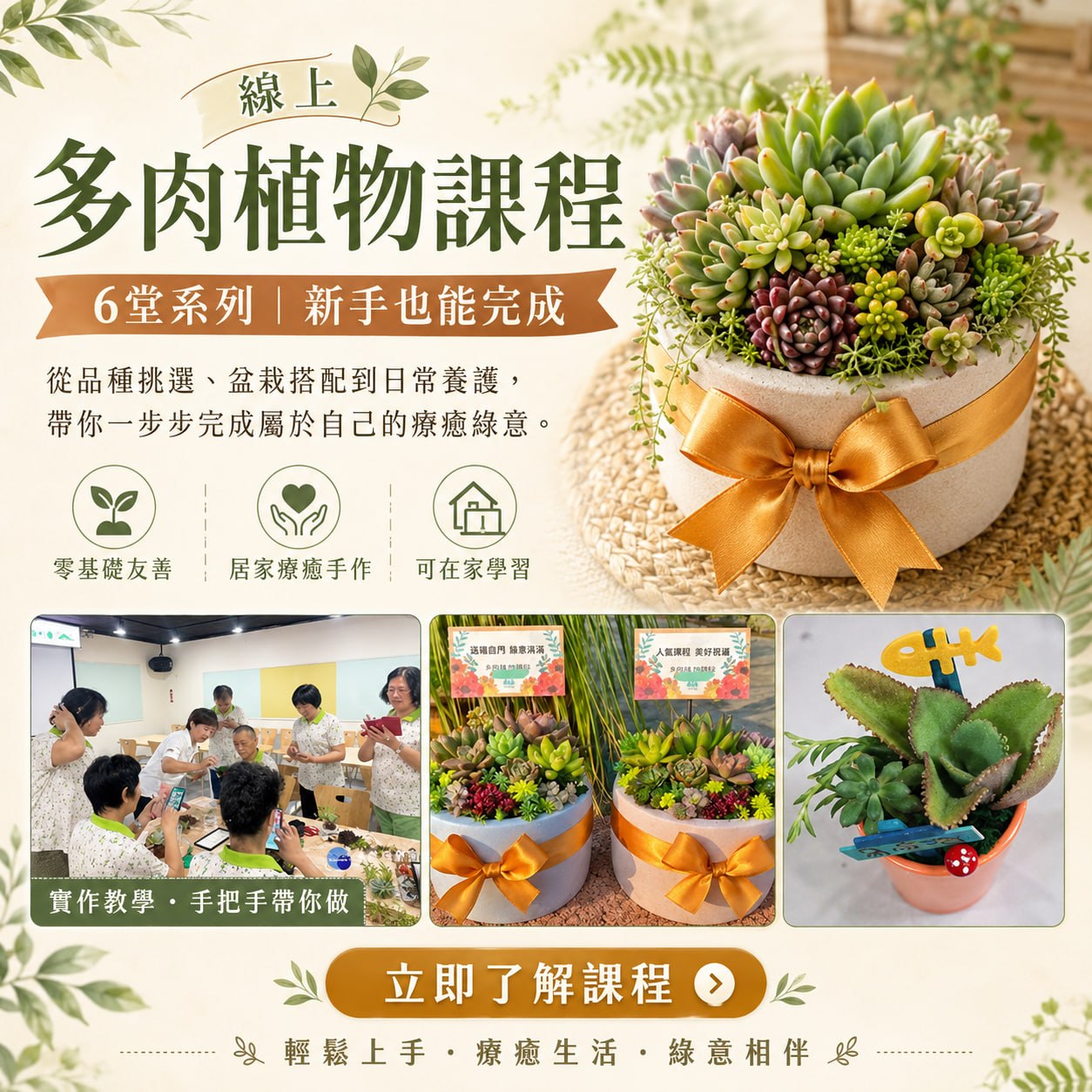 今日不加班 Facebook ad: 在家打造你的療癒小森林