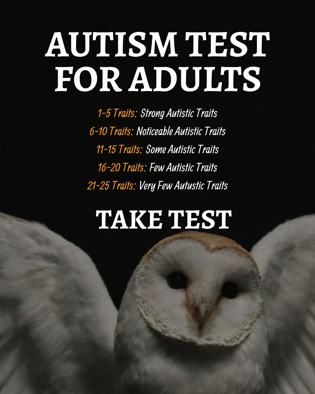 Personality Test: Created by Experts  Facebook ad