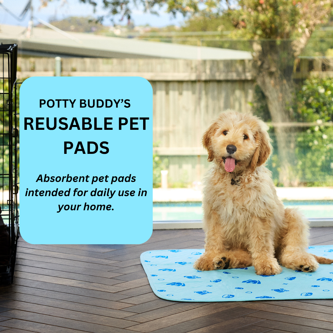 Potty Buddy Facebook ad
