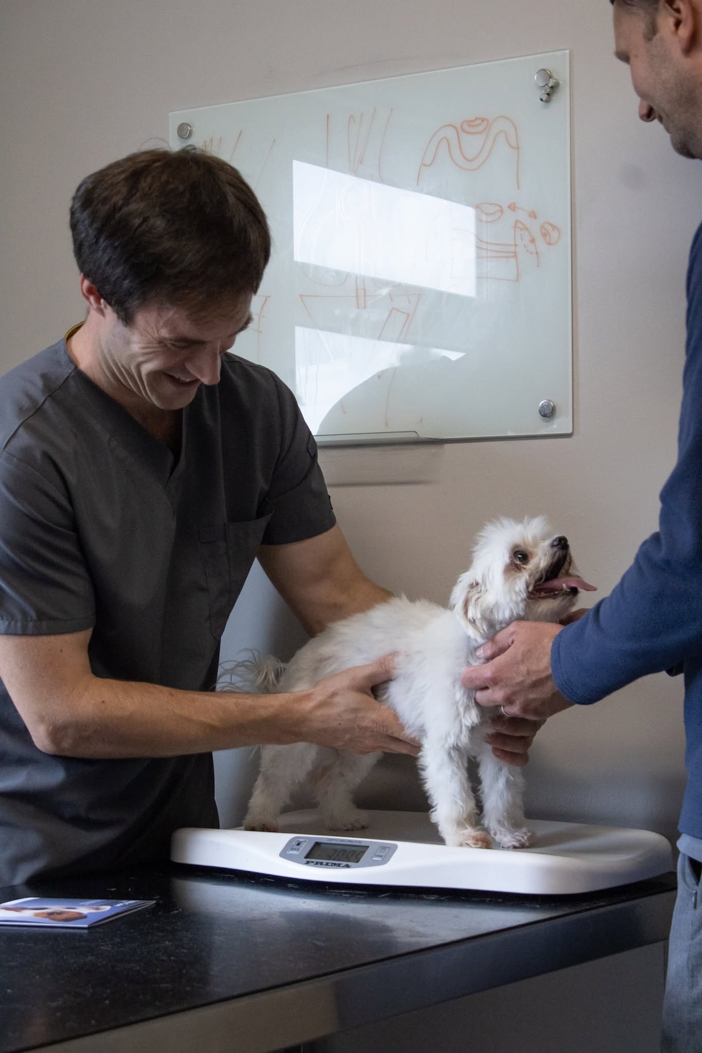 The Kettering Vets Facebook ad: **CRUCIATE SURGERY FROM £1,500**