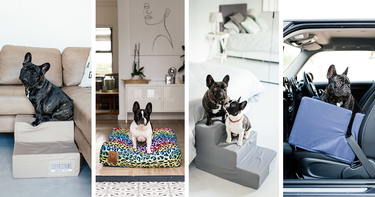 Ora Pets Facebook ad