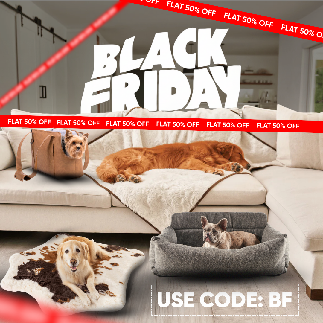 Paw.com Facebook ad