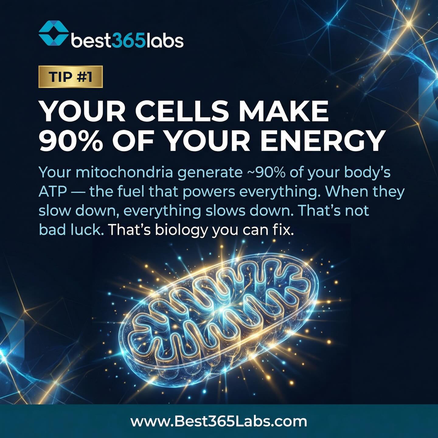 Best 365 Labs Facebook ad