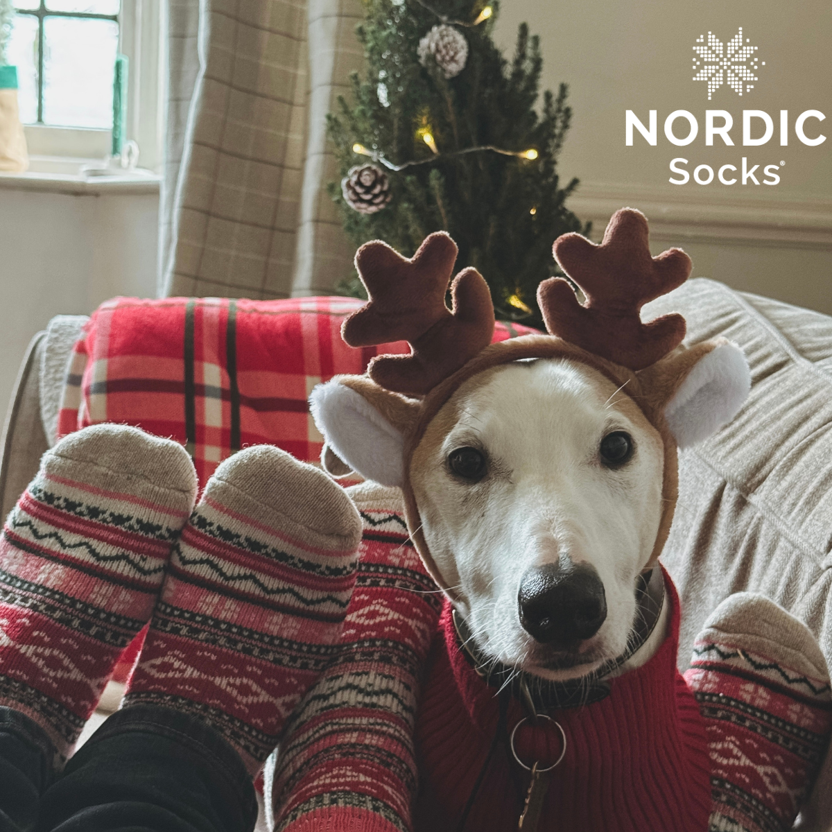 Nordic Socks Facebook ad