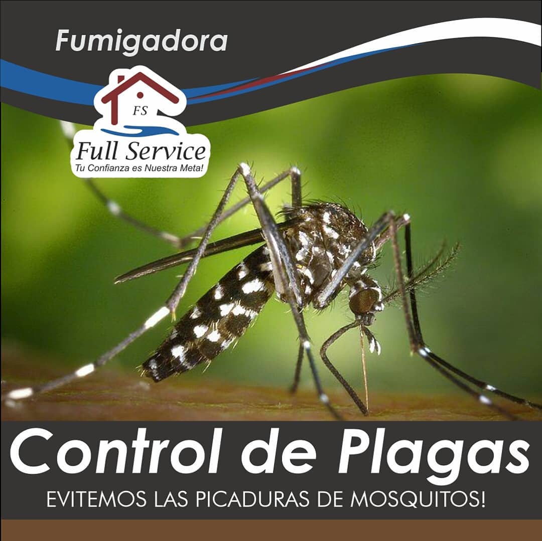 Full Service Facebook ad: La mayoría de las picaduras de los Mosquitos…