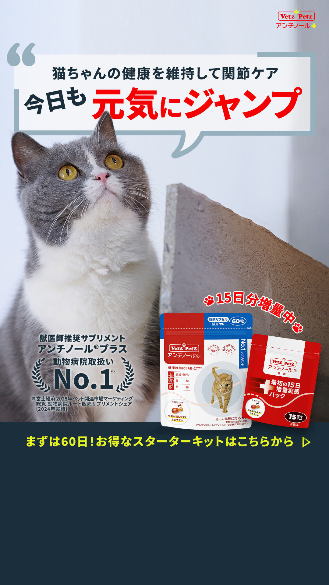 ベッツペッツ ・ アンチノール 犬猫の健康維持に役立つサプリメント Facebook ad