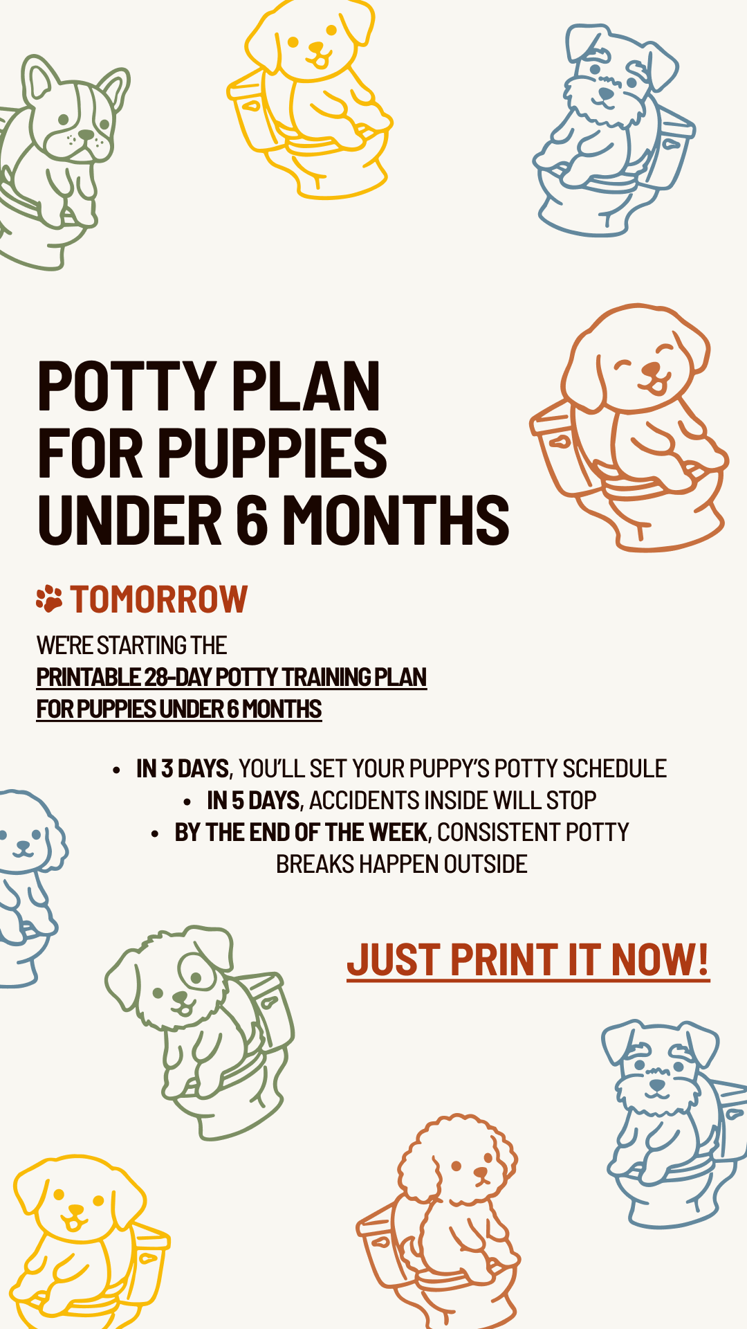 Woofz - Puppy Training Facebook ad