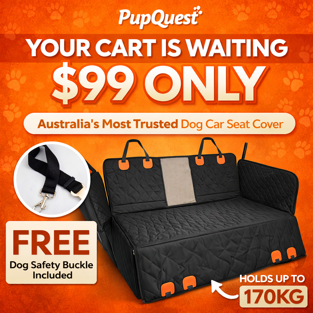 PupQuest Facebook ad: $99 SALE ENDS TODAY