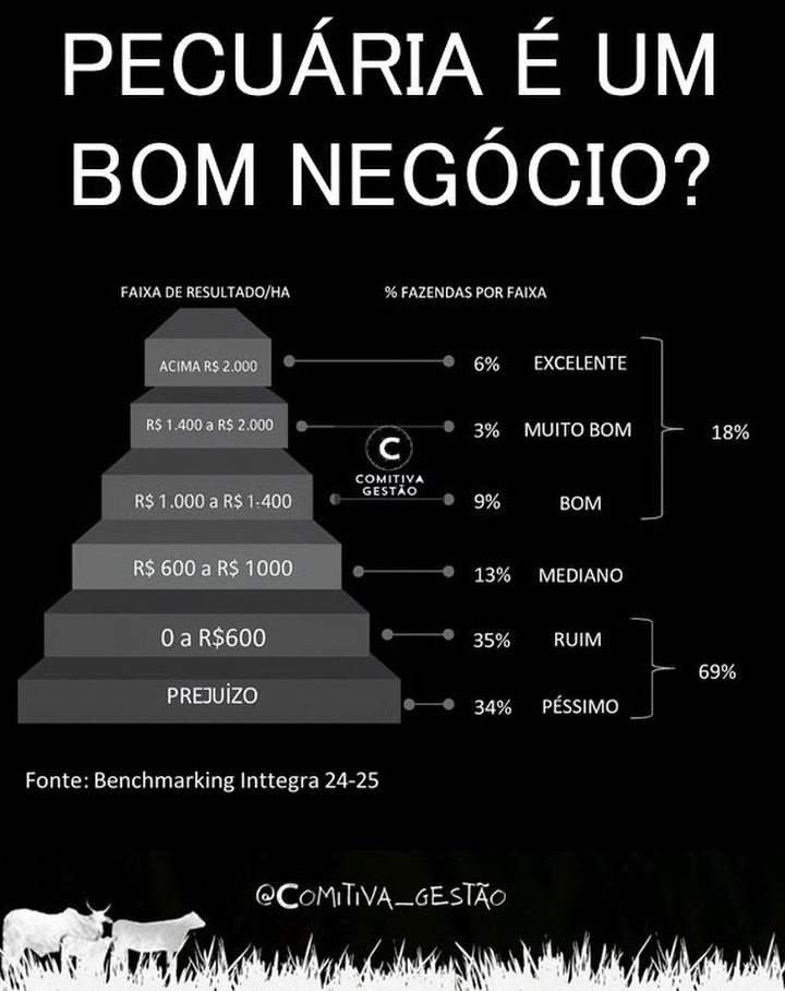 Comitiva Gestão Facebook ad: PECUÁRIA É UM BOM NEGÓCIO?