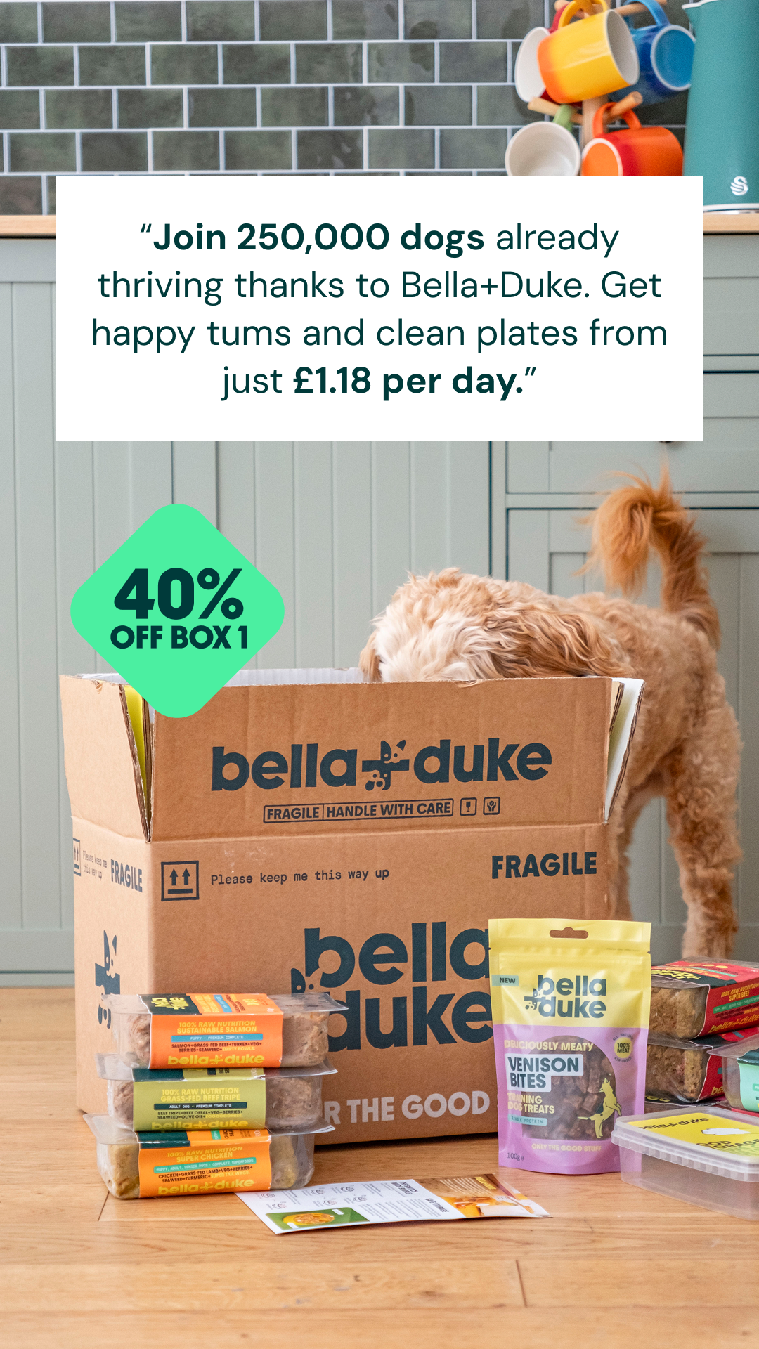 Bella+Duke Facebook ad