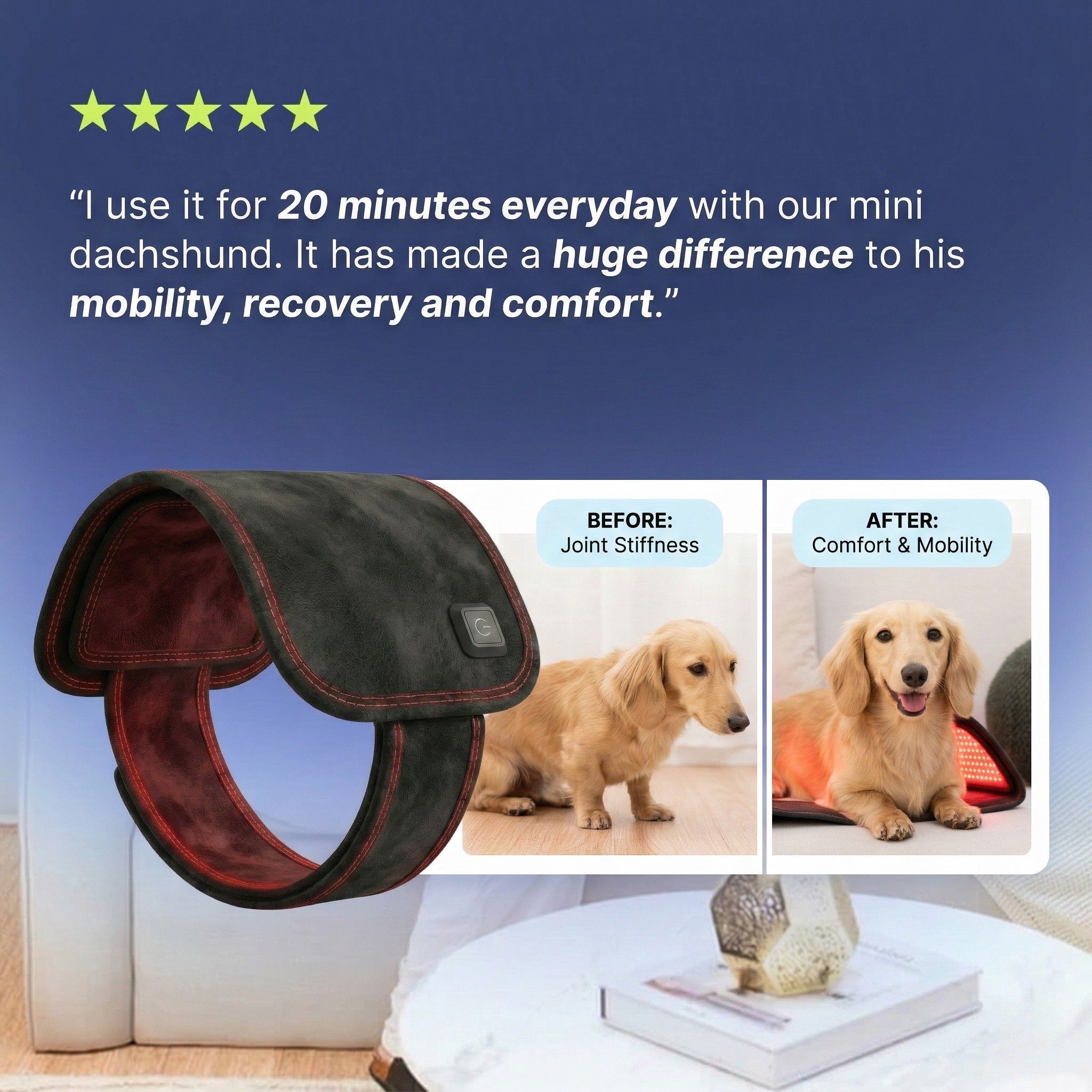 Therapet Co Facebook ad