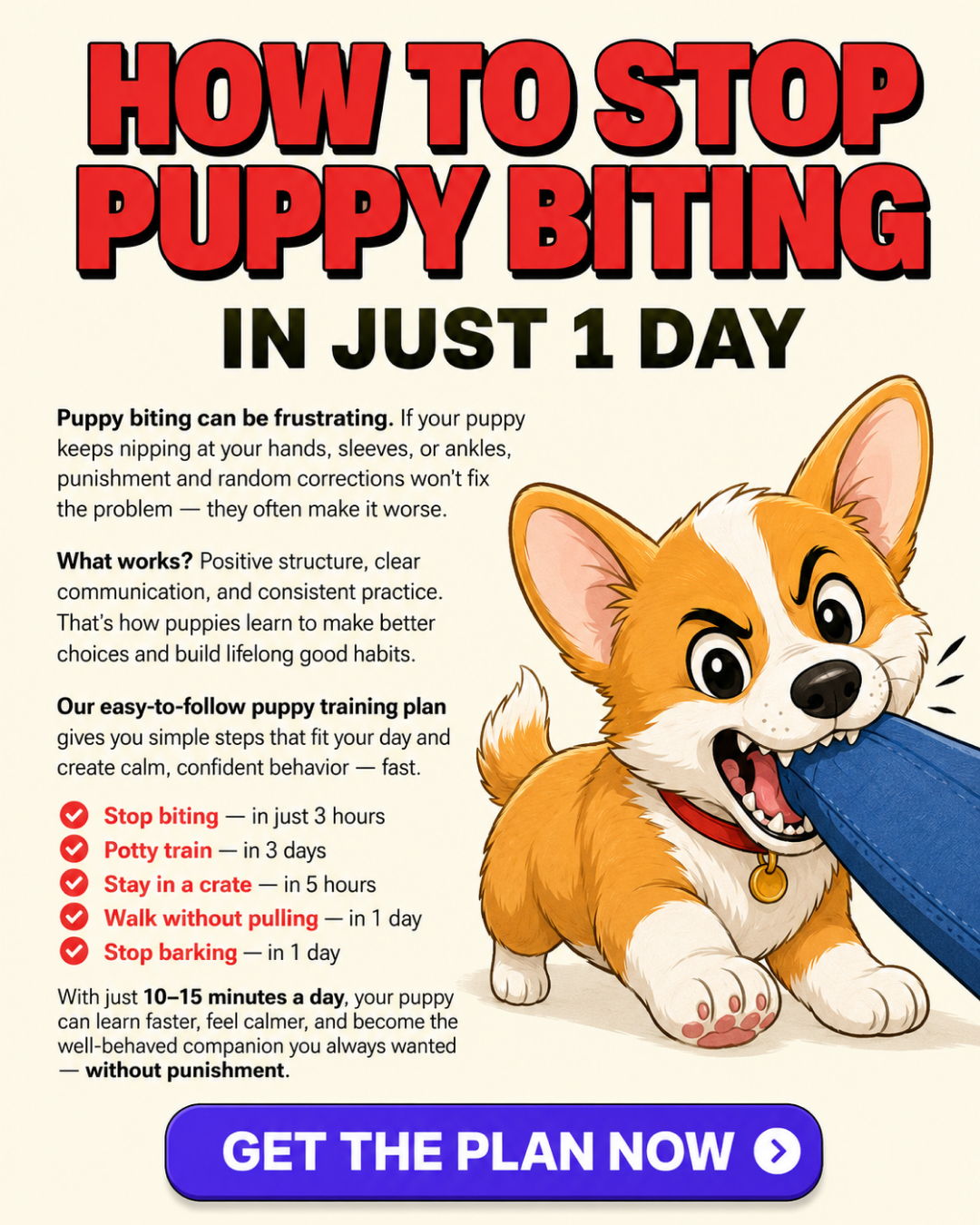Ben Your Puppy Trainer Facebook ad
