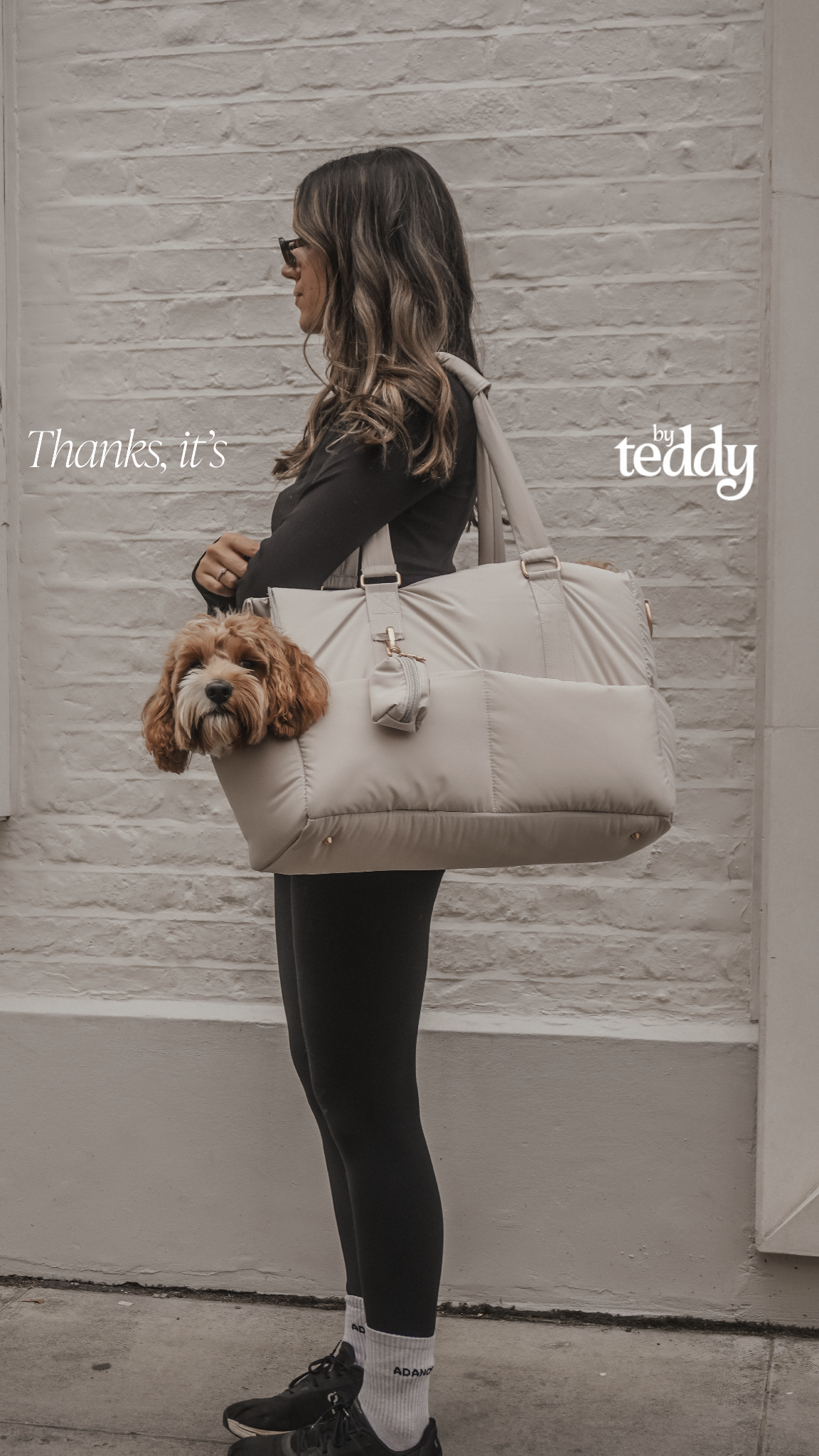 By Teddy Facebook ad