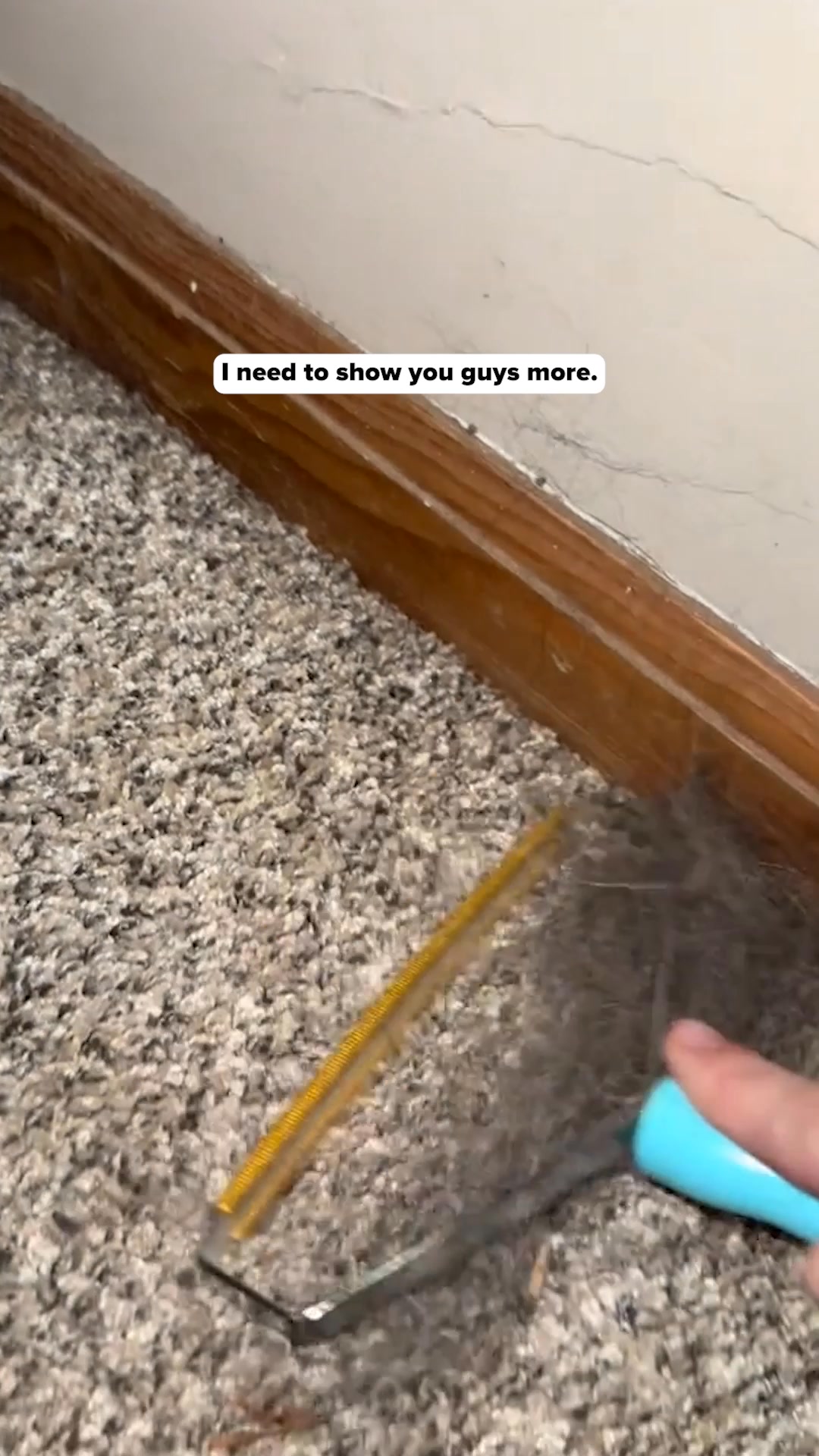Marvin and Meg Facebook ad: Stop Vacuuming Golden Hair. Start Uprooting It.