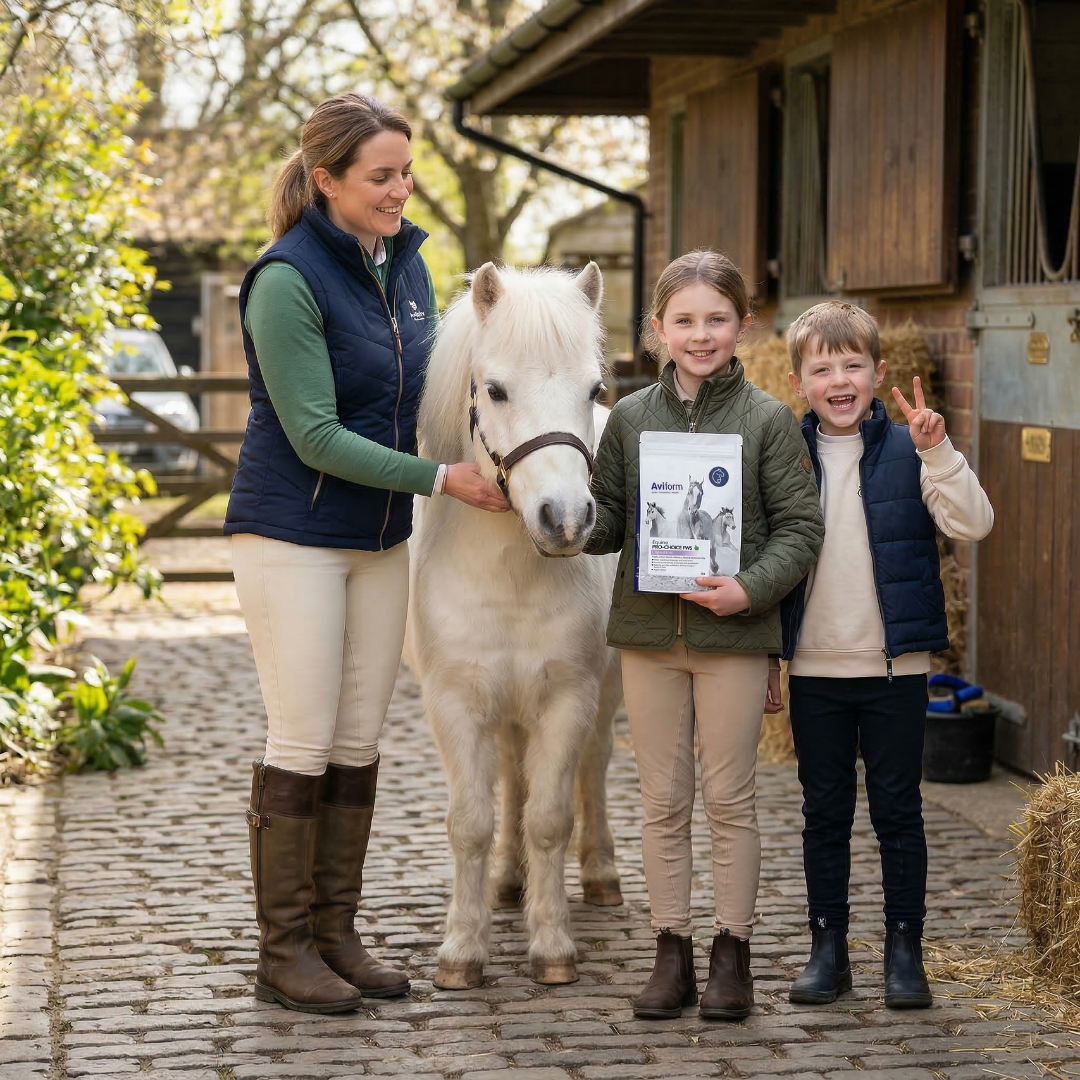 Aviform Nutrition UK - Horse & Dog Facebook ad