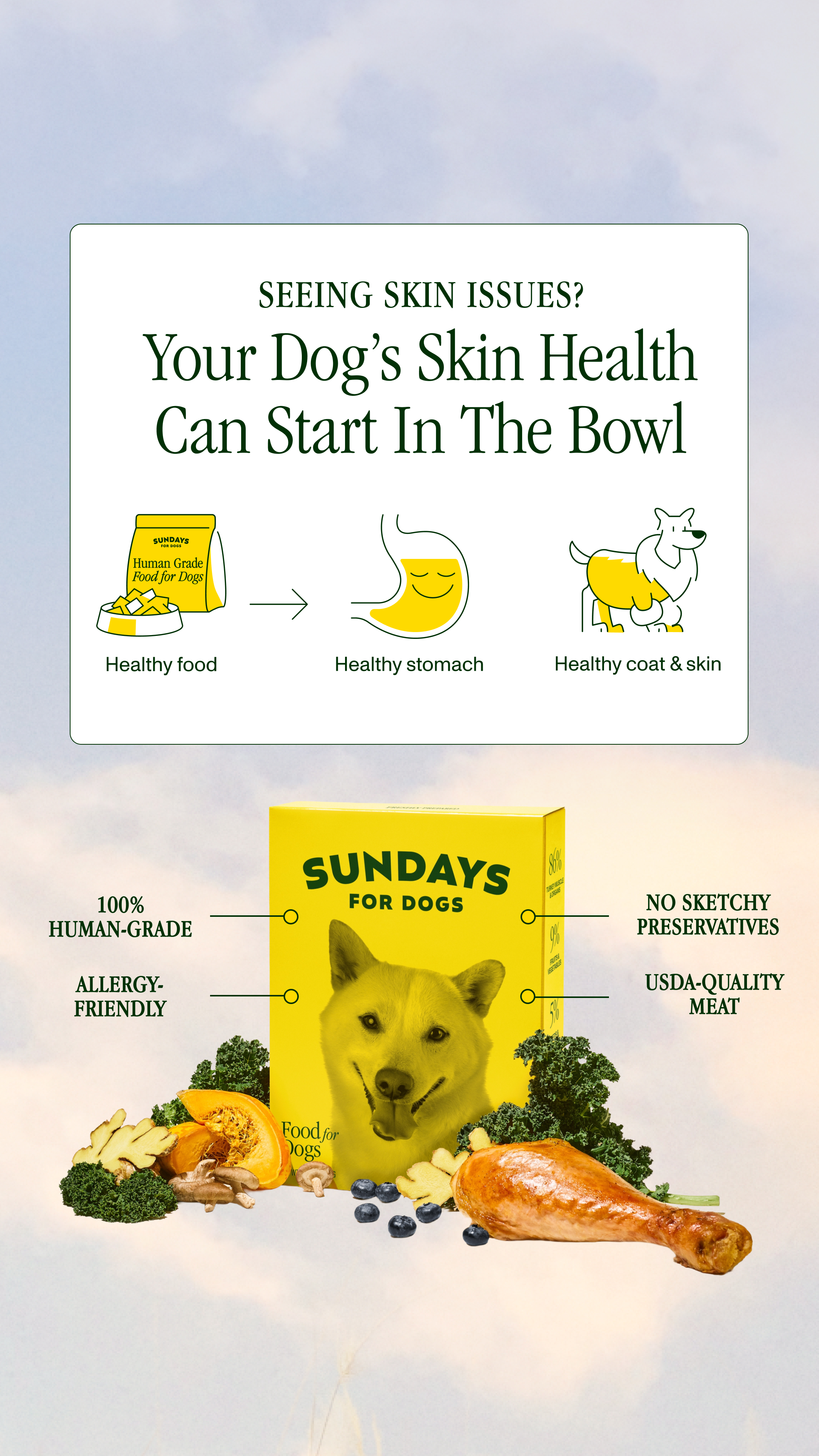 Sundays Facebook ad
