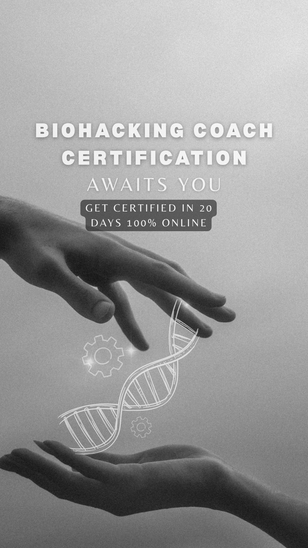 Efficient Coach Facebook ad