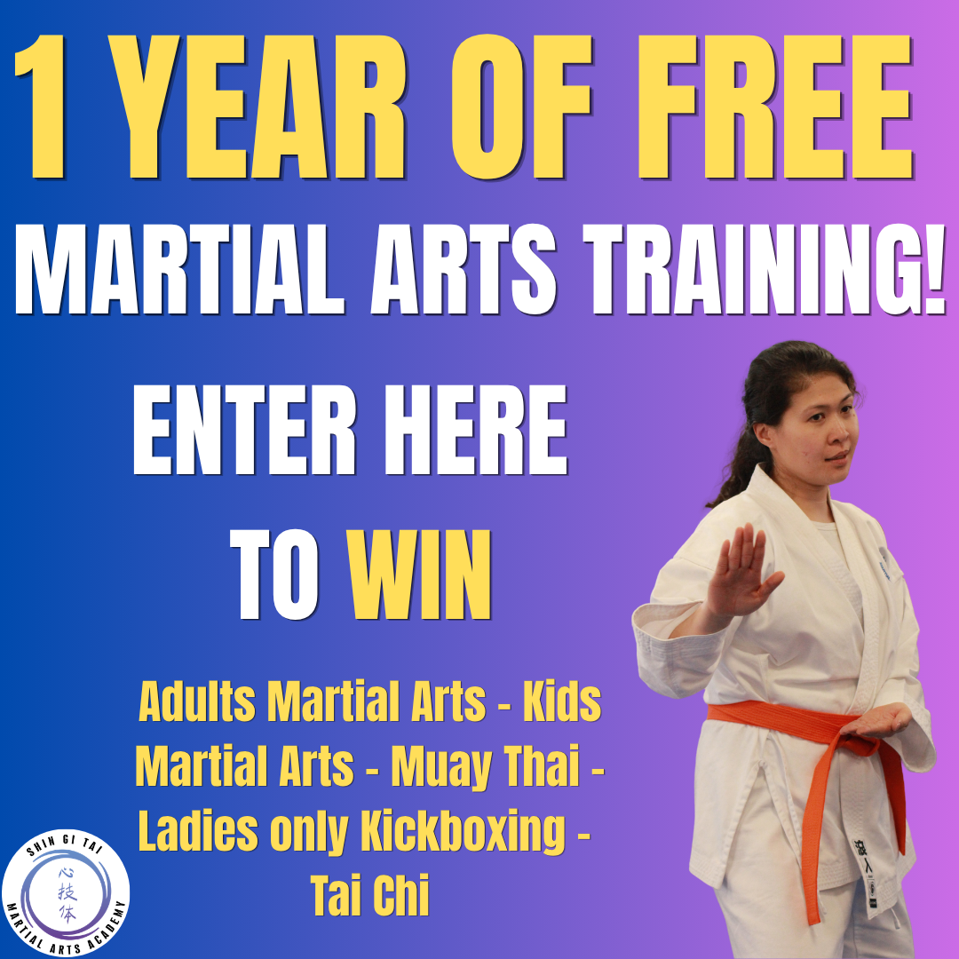 Shin Gi Tai Martial Arts Academy - Winchester Facebook ad