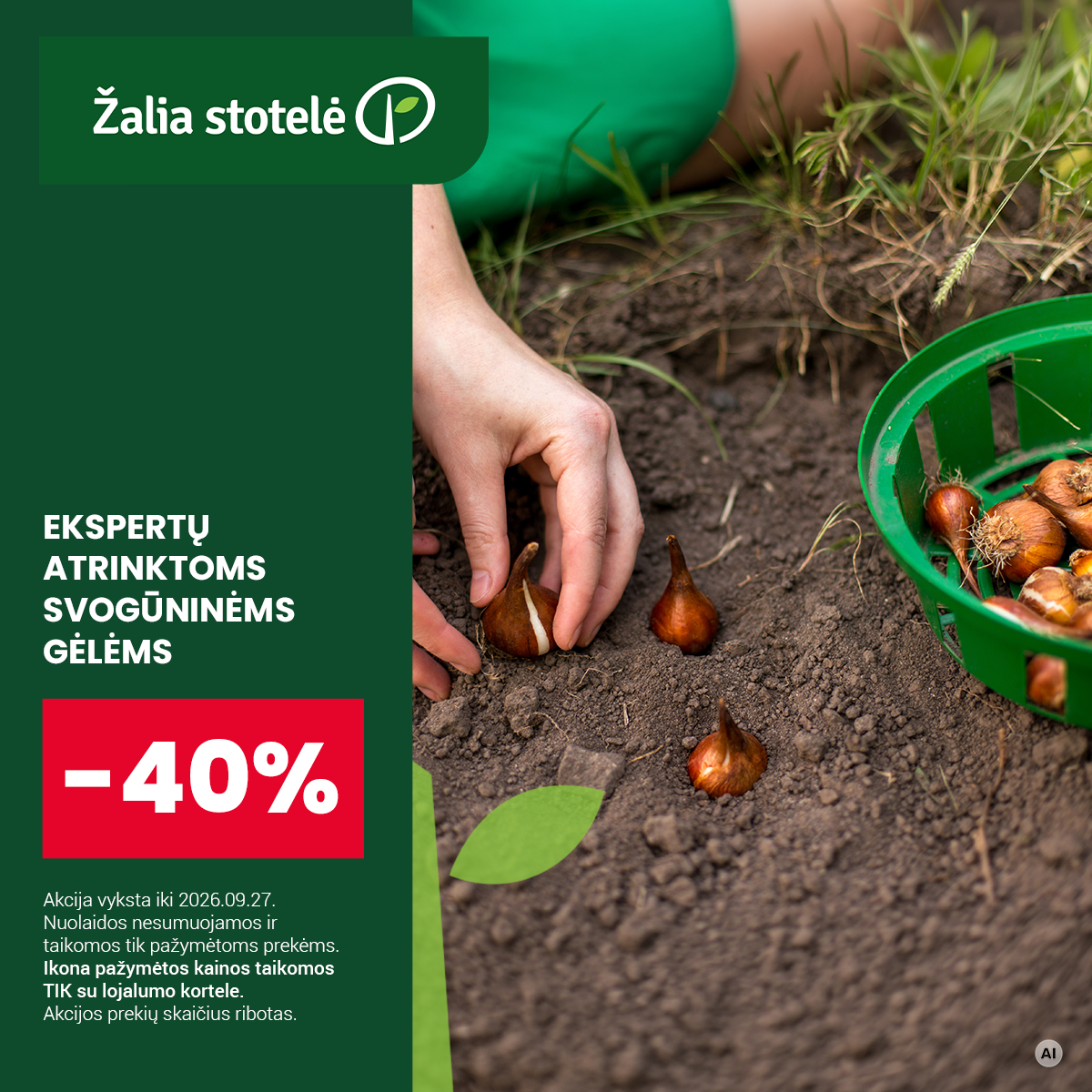 Žaliastotelė.lt Facebook ad: Ekspertų atrinktoms svogūninėms gėlėms -40%