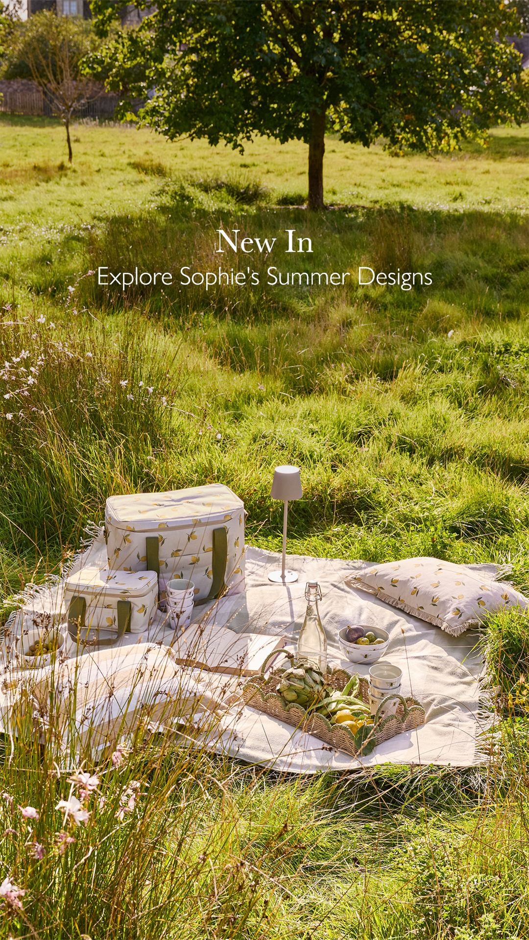 Sophie Allport Facebook ad