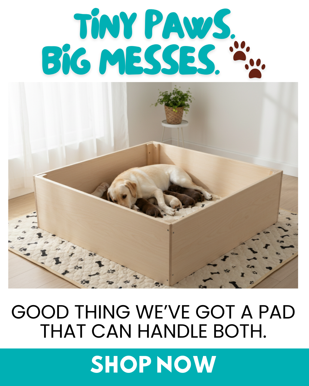 Potty Buddy Facebook ad